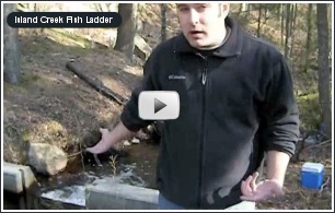 Click to open Island Creek Fish Ladder Video