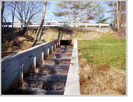 The Restored Island Creek Fish Run - Duxbury, Massachusetts